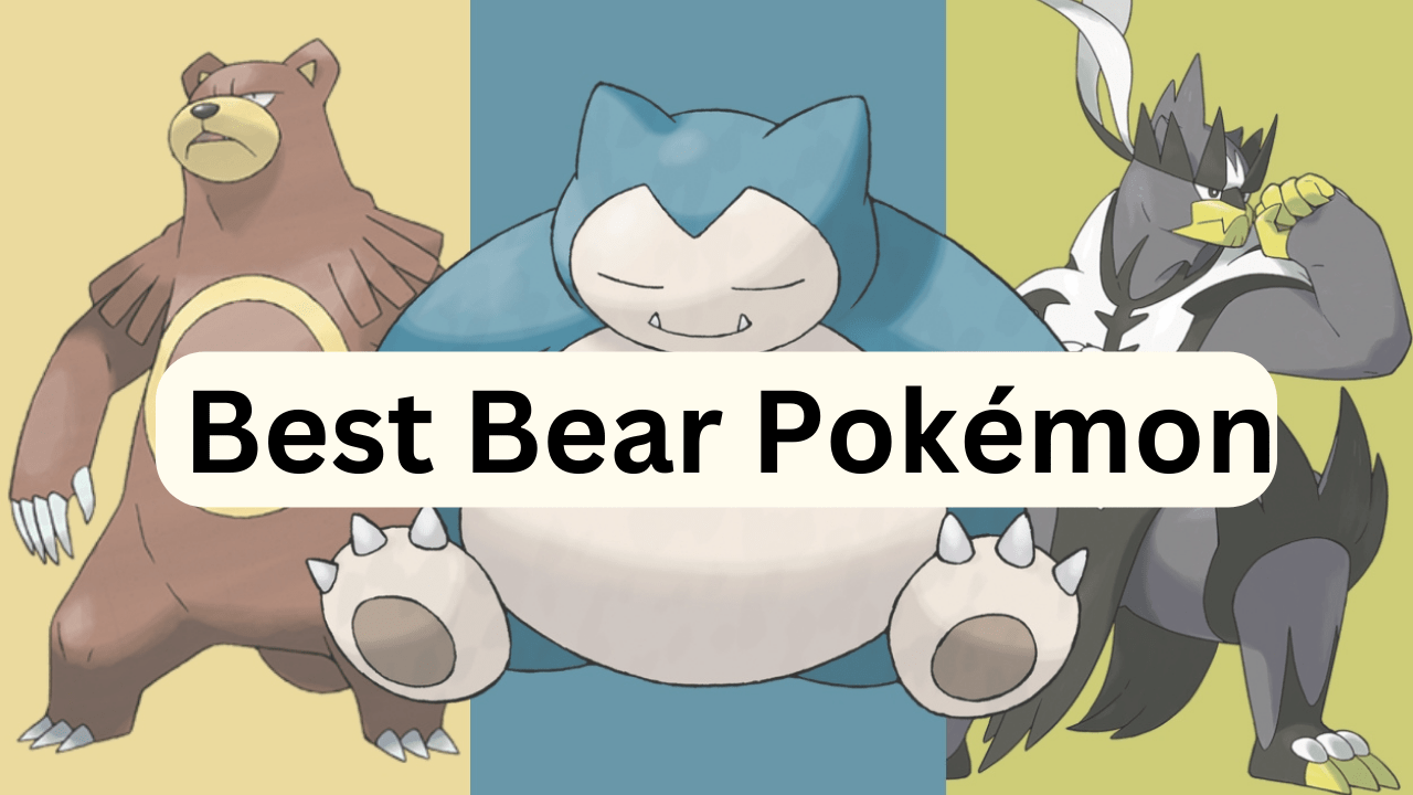 Best Bear Pokémon