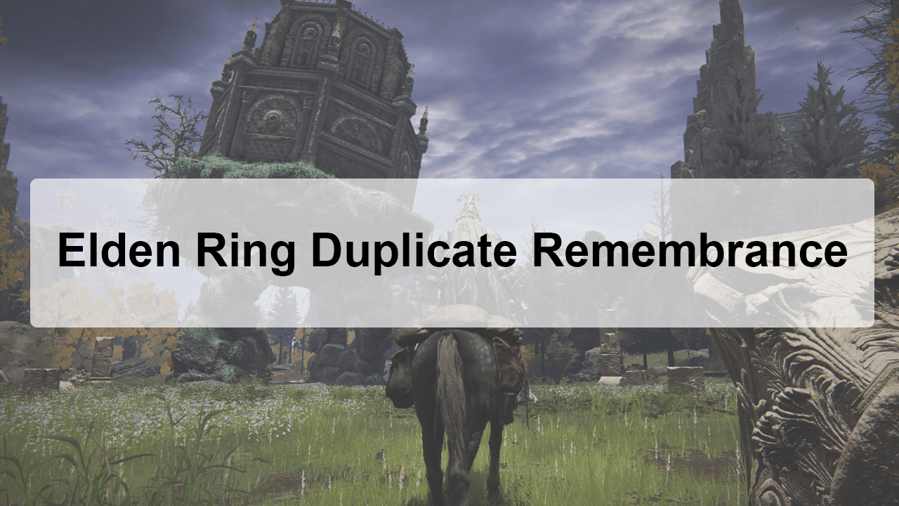 Elden Ring Duplicate Remembrance